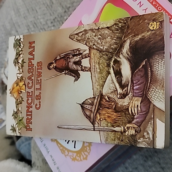 Boxed set, 7 books in The Chronicles of Narnia by CS Lewis - Picture 7 of 9